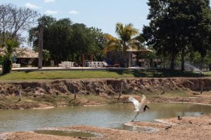 pousada piuval hotel fazenda mato grosso 39