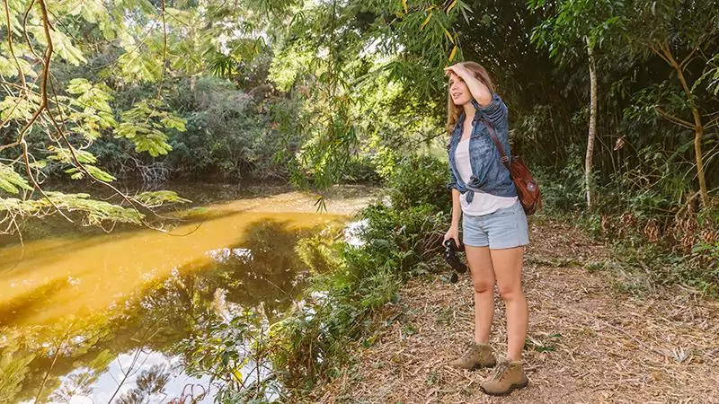 Principais dicas para a primeira viagem ao Pantanal