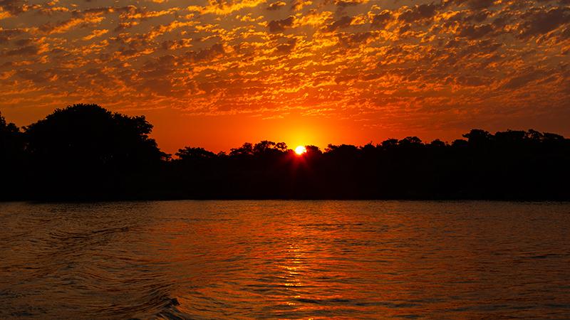 Saiba qual e a melhor epoca para viajar para o Pantanal
